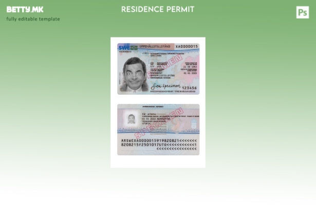 Модерен стил шведска дозвола за престој присутен шаблон